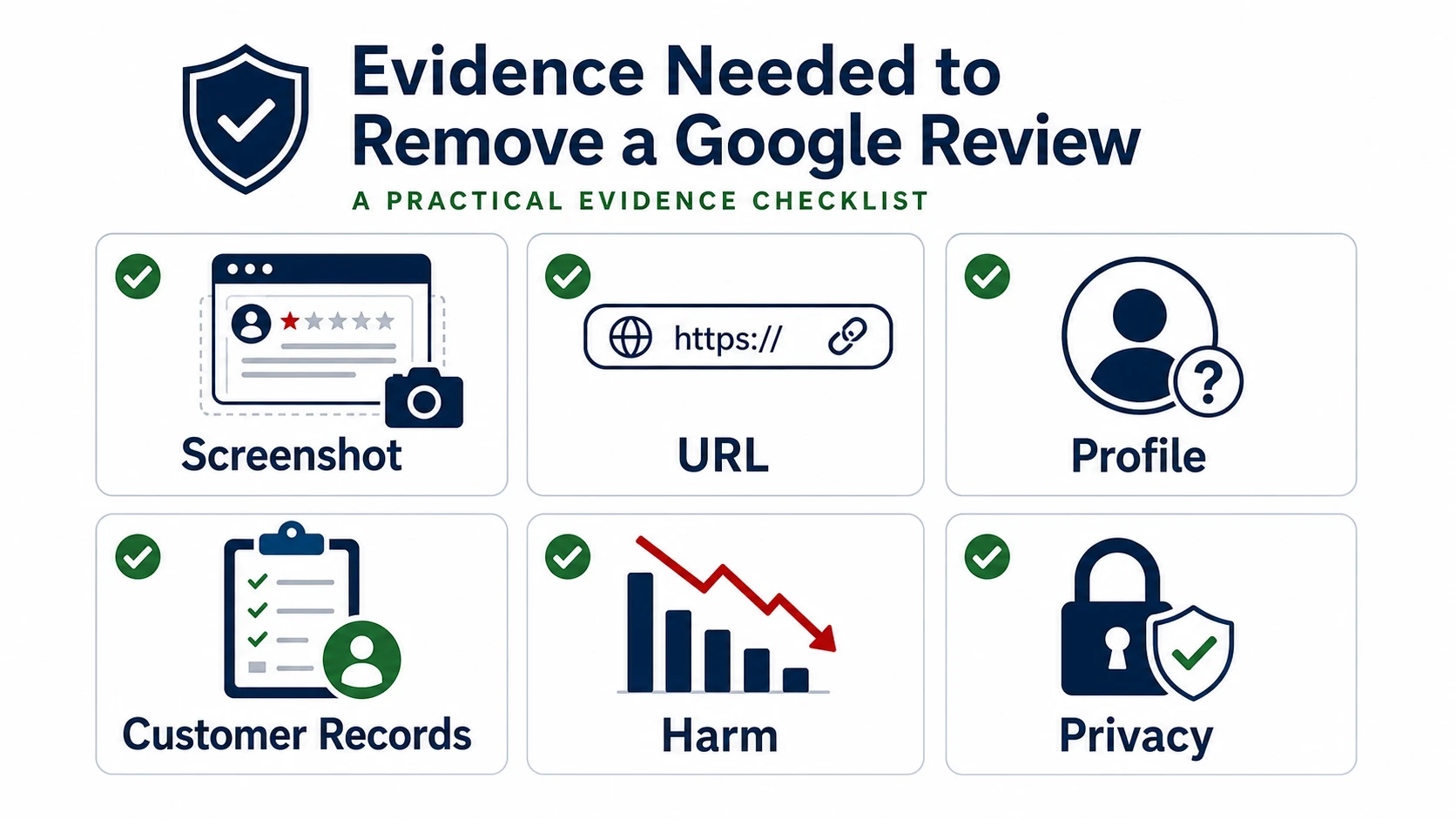 Infographic about evidence for Google review removal in the Netherlands